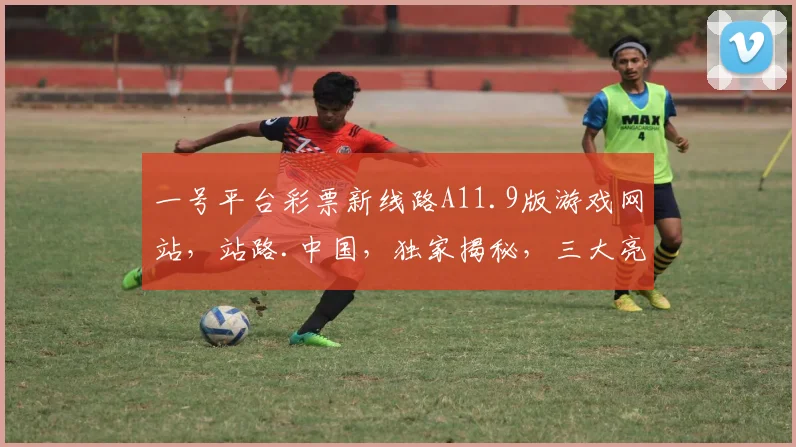 一号平台彩票新线路A11.9版游戏网站，站路.中国，独家揭秘，三大亮点，必看攻略，轻松中奖