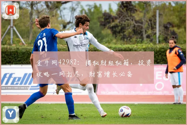 金牛网42982：揭秘财经秘籍，投资攻略一网打尽，财富增长必备