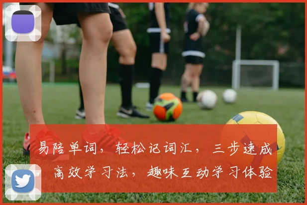 易陪单词，轻松记词汇，三步速成，高效学习法，趣味互动学习体验，助你一臂之力。